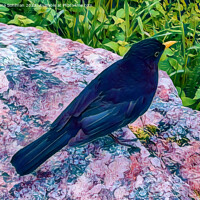 Buy canvas prints of Beautiful Blackbird Digital Art by Taina Sohlman