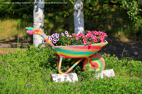 Crochet Covered Wheel Barrow With Flowers  Picture Board by Taina Sohlman