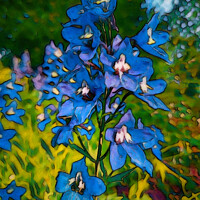 Buy canvas prints of Blue Delphinium Flowers  by Taina Sohlman