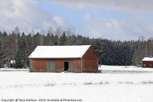 Red Barn in Winter Picture Board by Taina Sohlman