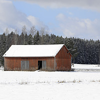 Buy canvas prints of Red Barn in Winter by Taina Sohlman