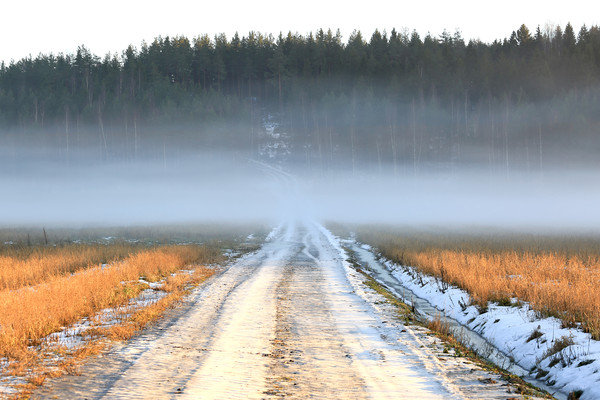 White Fog over Rural Road  Picture Board by Taina Sohlman