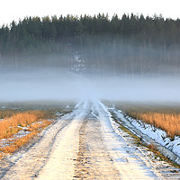 Buy canvas prints of White Fog over Rural Road  by Taina Sohlman