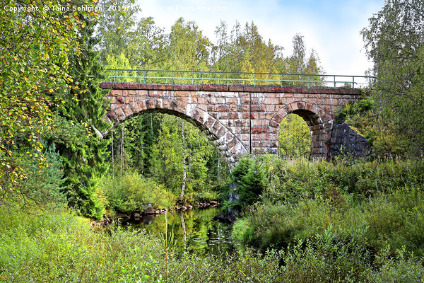 Old Railroad Bridge in Central Finland  Picture Board by Taina Sohlman