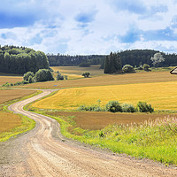 Buy canvas prints of Country Road Through Fields in Late Summer by Taina Sohlman