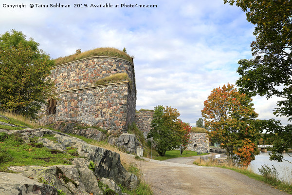 Seaside Walk in Suomenlinna Picture Board by Taina Sohlman