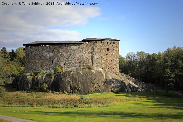 Raseborg Castle Ruins on a Rock Picture Board by Taina Sohlman