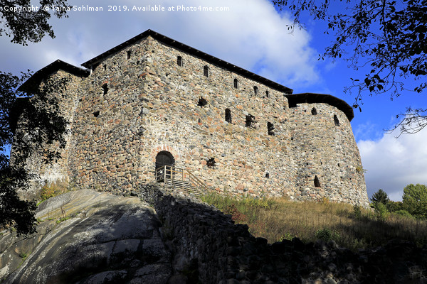 Medieval Raseborg Castle Ruins  Picture Board by Taina Sohlman