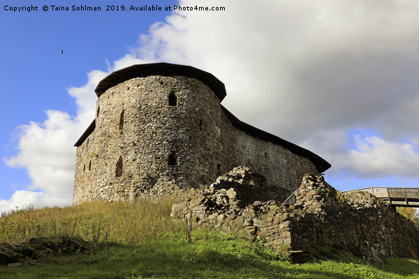 Medieval Raseborg Castle Ruins on a Rock Picture Board by Taina Sohlman