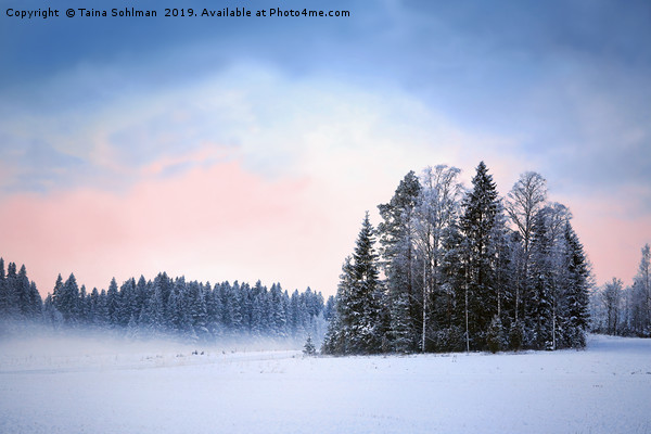 Winter Nightfall  Picture Board by Taina Sohlman