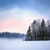 Buy canvas prints of Winter Nightfall  by Taina Sohlman
