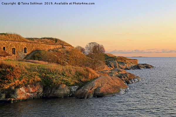 Sea Fortress at Golden Hour Picture Board by Taina Sohlman