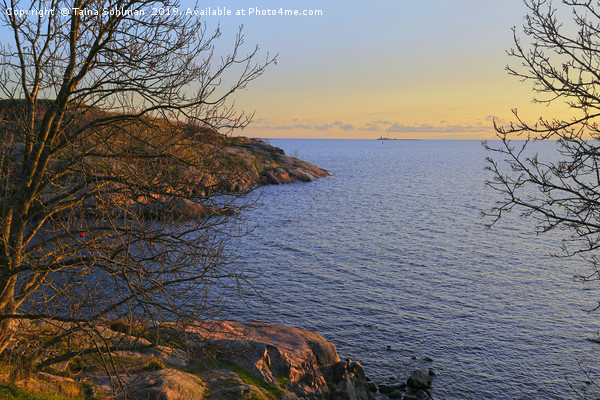 Suomenlinna Seaside at Sunset Picture Board by Taina Sohlman
