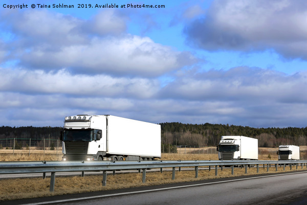 Three White Semi Trucks Platoon on Freeway Picture Board by Taina Sohlman