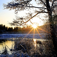 Buy canvas prints of Winter Sunset at Pernionjoki River  by Taina Sohlman