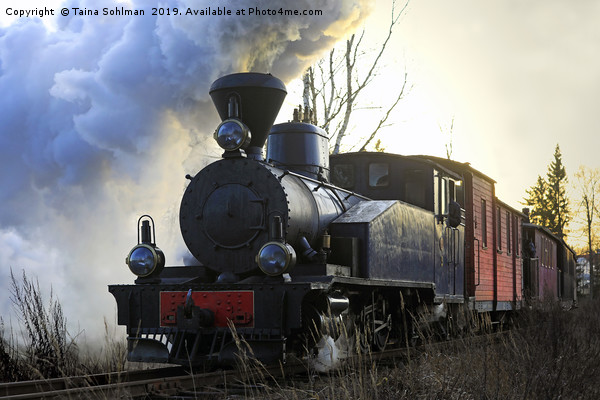 Steam Train Sohvi HKR5 Pulling Carriages Picture Board by Taina Sohlman