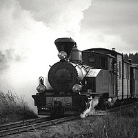 Buy canvas prints of Steam Train Pulling Carriages by Taina Sohlman