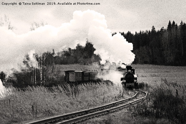 Classic Steam Train on Jokionen Museum Railway Picture Board by Taina Sohlman