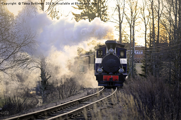 Steam Locomotive Pulling Carriages in Morning Ligh Picture Board by Taina Sohlman