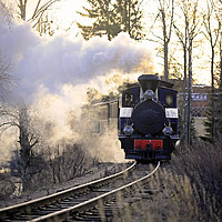 Buy canvas prints of Steam Locomotive Pulling Carriages in Morning Ligh by Taina Sohlman