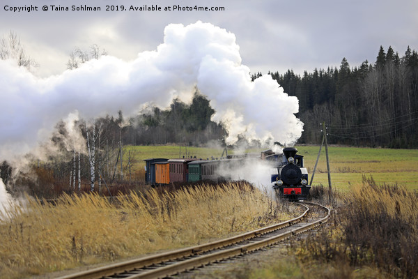 Steam Train on Jokionen Museum Railway Picture Board by Taina Sohlman
