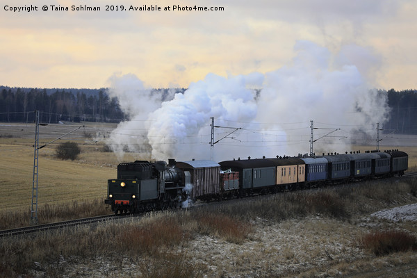 Vintage Steam Train Ukko-Pekka in Motion Picture Board by Taina Sohlman