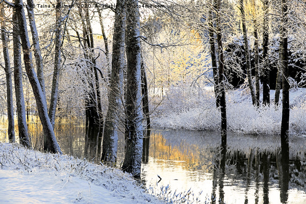 River in Winter Pastels, Watercolour Picture Board by Taina Sohlman