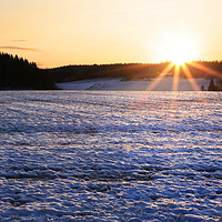 Buy canvas prints of Winter Sunset and Snowy Field by Taina Sohlman