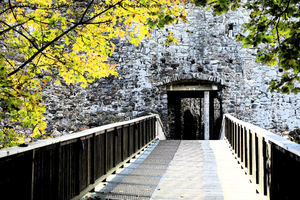 Entering Medieval Raseborg Castle  Picture Board by Taina Sohlman