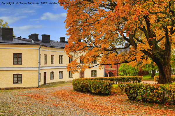 Suomenlinna Autumnal Landscape Picture Board by Taina Sohlman