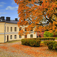 Buy canvas prints of Suomenlinna Autumnal Landscape by Taina Sohlman