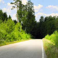 Buy canvas prints of Mysterious Rural Road by Taina Sohlman