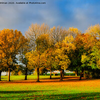 Buy canvas prints of Beautiful Colours of Autumn in the Park by Taina Sohlman