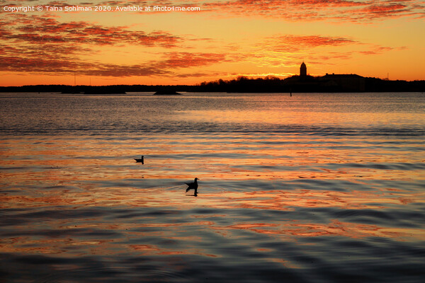 November Sunrise by Calm Sea Picture Board by Taina Sohlman