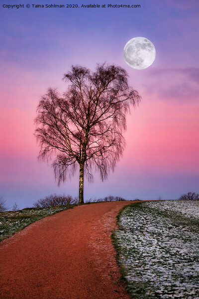Early Winter Moon Picture Board by Taina Sohlman