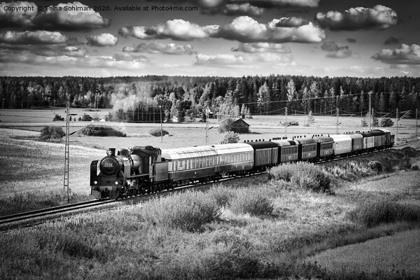 Steam Train Travels Through Countryside  Picture Board by Taina Sohlman