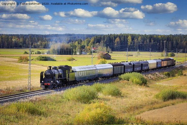 Steam Train Ukko-Pekka Traveling Through Countryside Picture Board by Taina Sohlman