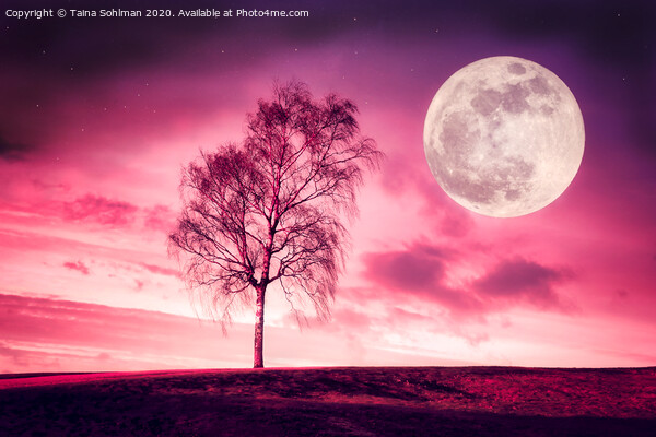 Full Moon Fantasy Picture Board by Taina Sohlman