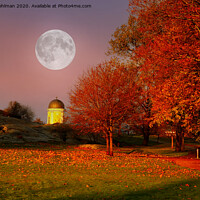 Buy canvas prints of Golden Hour Full Moon in Kaivopuisto Park, Finland by Taina Sohlman