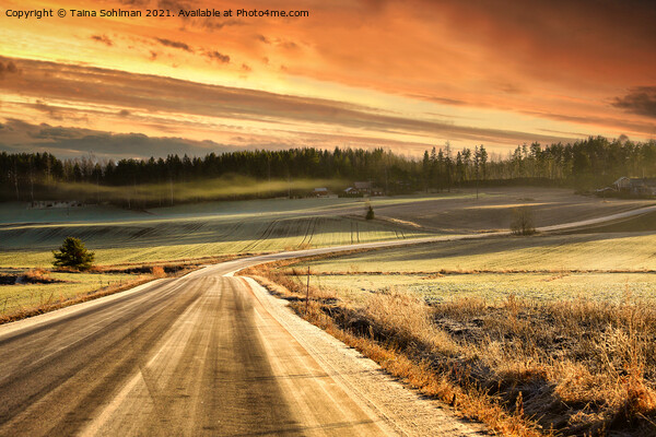 Hazy Rural Road in Winter Golden Hour  Picture Board by Taina Sohlman