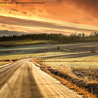 Buy canvas prints of Hazy Rural Road in Winter Golden Hour  by Taina Sohlman
