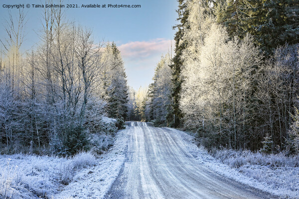 Country Road in Middle of Winter Picture Board by Taina Sohlman