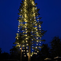 Buy canvas prints of Illuminated Christmas Tree at Blue Hour by Taina Sohlman