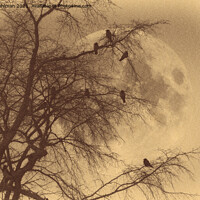Buy canvas prints of Crows against Full Moon, Old Photo Style  by Taina Sohlman