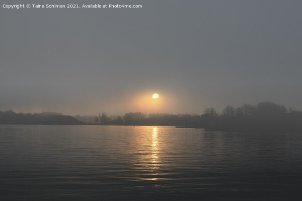 Sunrise Through November Fog Picture Board by Taina Sohlman