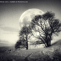 Buy canvas prints of The Big Full Moon Black and White by Taina Sohlman