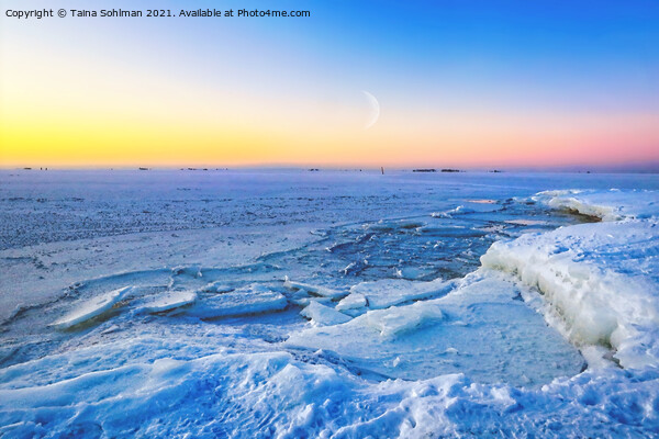 February Crescent Moon over Frozen Sea Picture Board by Taina Sohlman