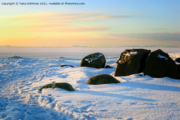 Arctic Winter Morning at the Breakwater Picture Board by Taina Sohlman