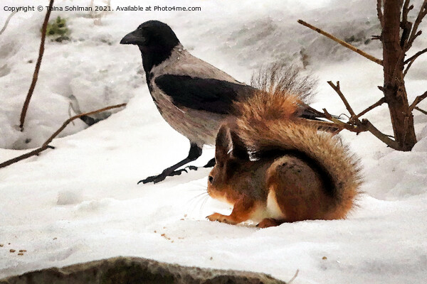 Squirrel, Hooded Crow and Food Picture Board by Taina Sohlman