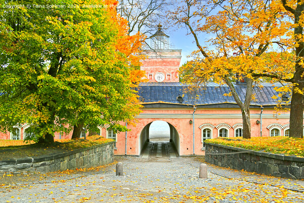 The Jetty Barracks Entrance to Suomenlinna Picture Board by Taina Sohlman